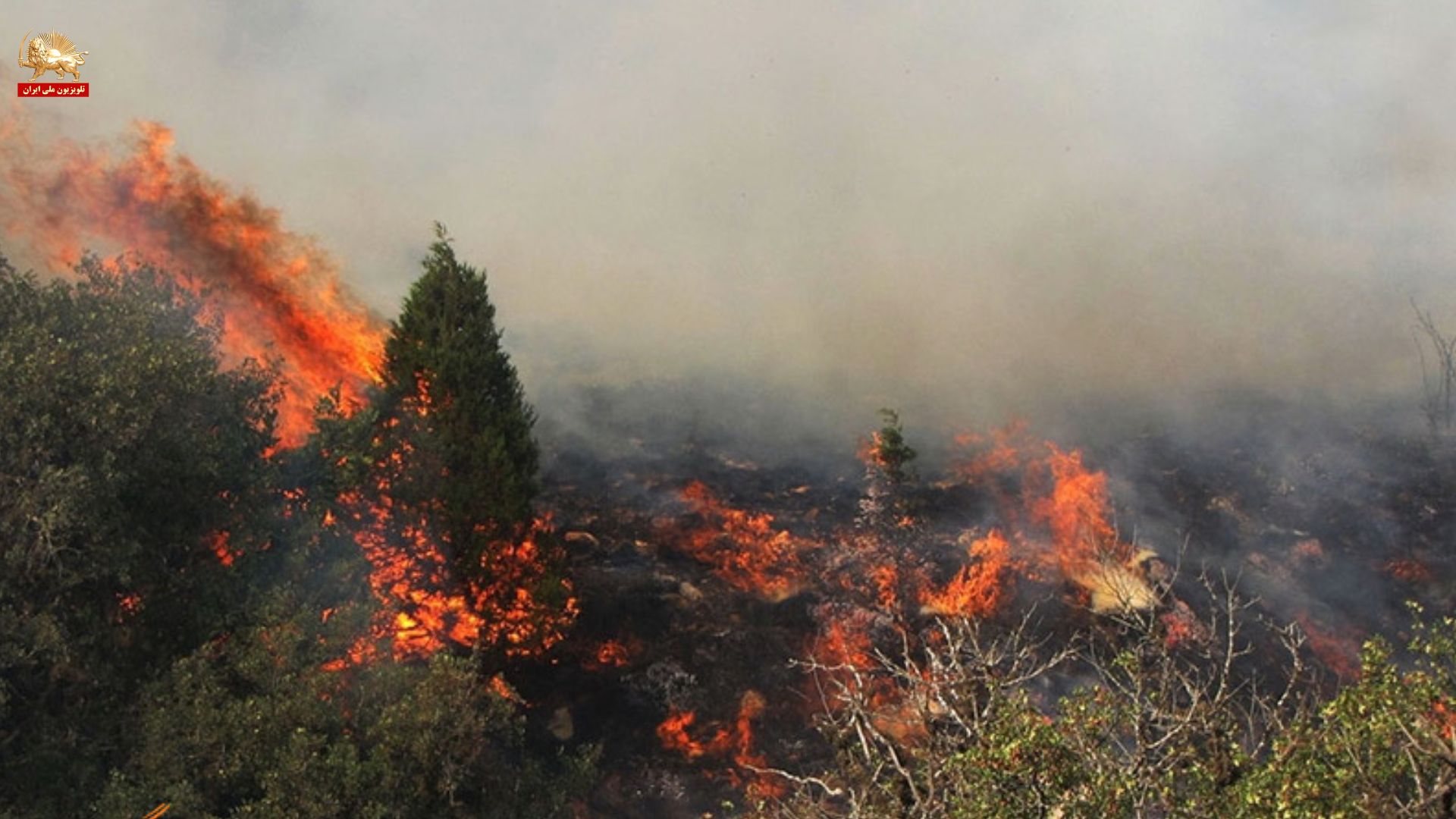 هشتاد هکتار از جنگها و منابع طبیعی گیلان بر اثر سیاستهای غارتگرانه رژیم طعمه حریق شد